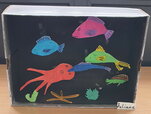 IMG-20220401-WA0013__1_